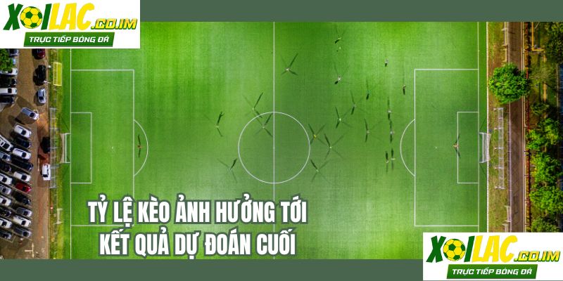 Tỷ lệ kèo ảnh hưởng tới kết quả dự đoán cuối